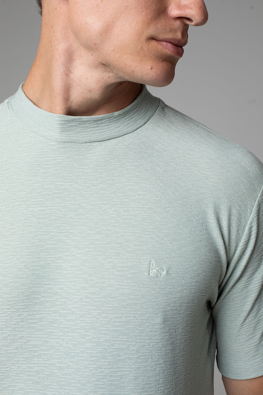 Camiseta Gola Média Masculina Aurora Slim