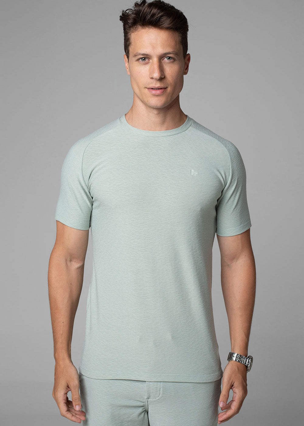 Camiseta Masculina Slim Aurora Manga Raglan