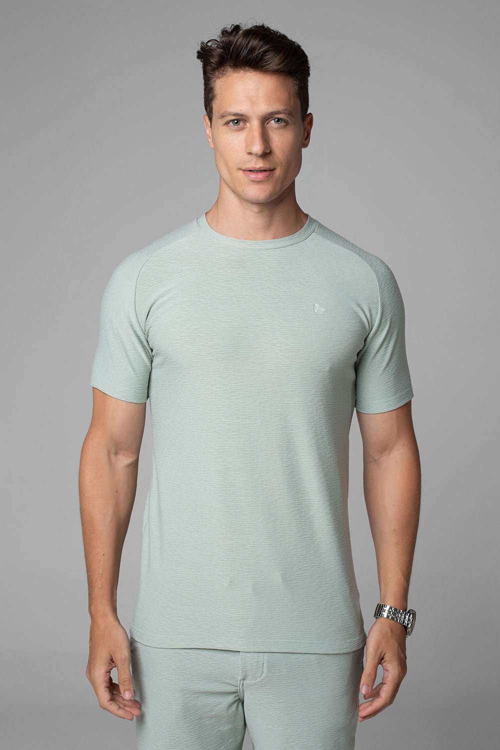 Camiseta Masculina Slim Aurora Manga Raglan