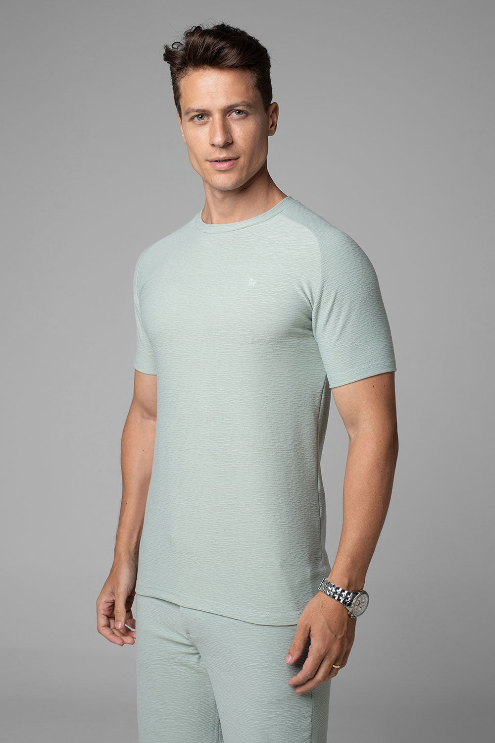 Camiseta Masculina Slim Aurora Manga Raglan