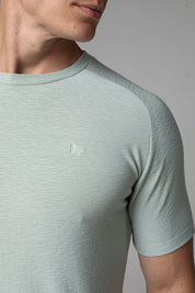 Camiseta Masculina Slim Aurora Manga Raglan