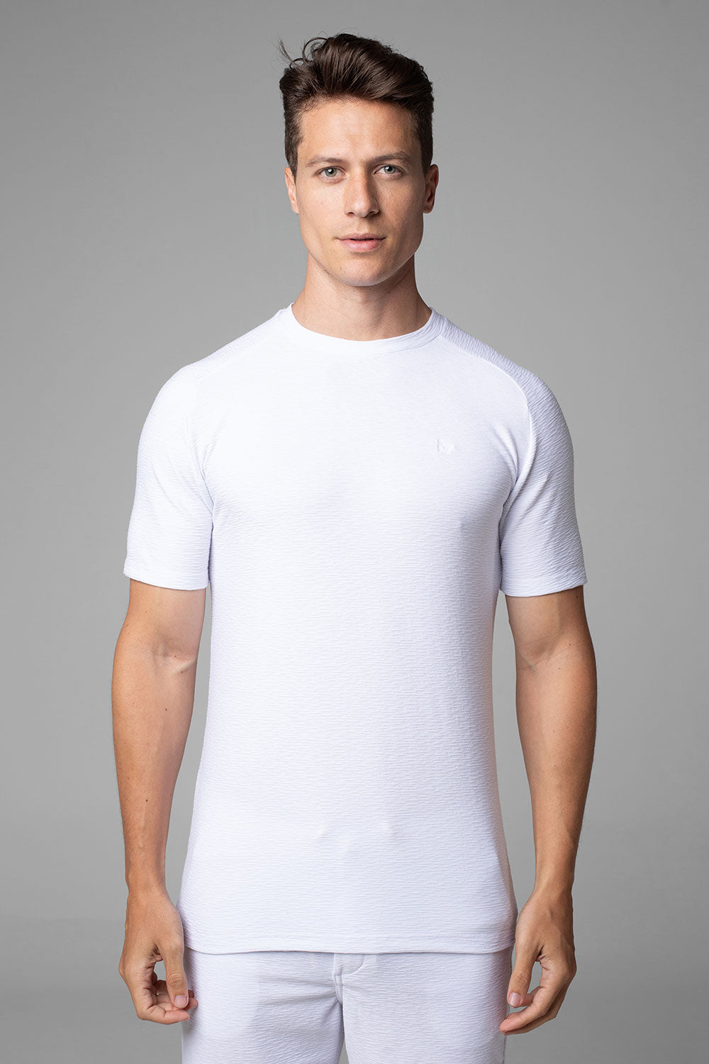 Camiseta Masculina Slim Aurora Manga Raglan