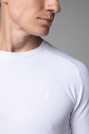 Camiseta Masculina Slim Aurora Manga Raglan