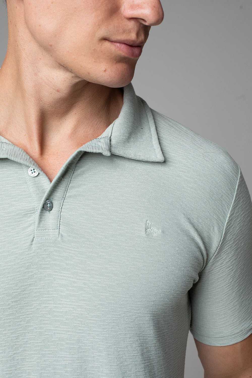 Polo Masculina Slim Aurora