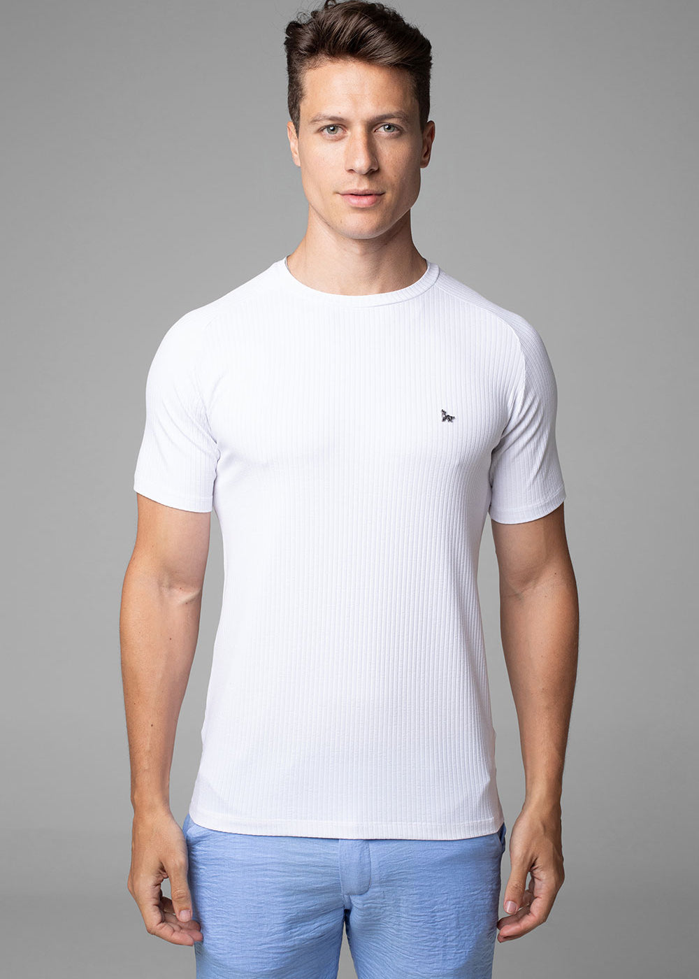 Camiseta Canelada Masculina Slim Tonic
