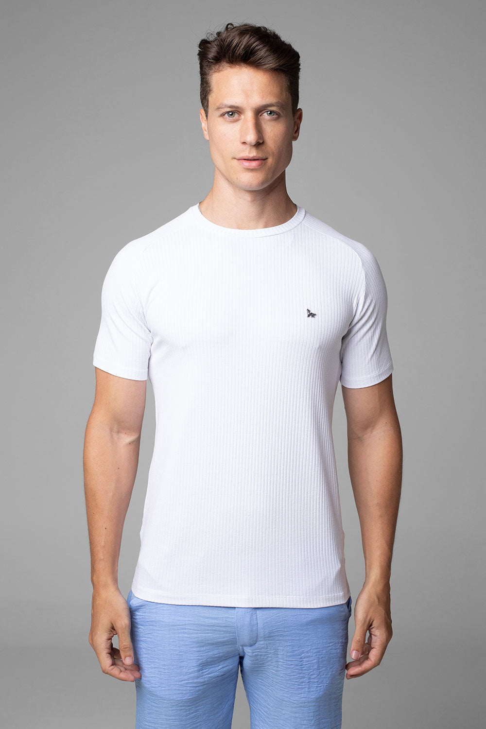 Camiseta Canelada Masculina Slim Tonic