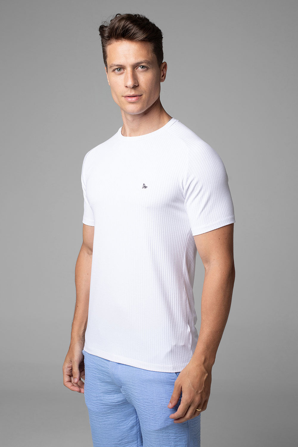 Camiseta Canelada Masculina Slim Tonic